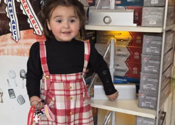 Kapı Hidrolik Sistemleri